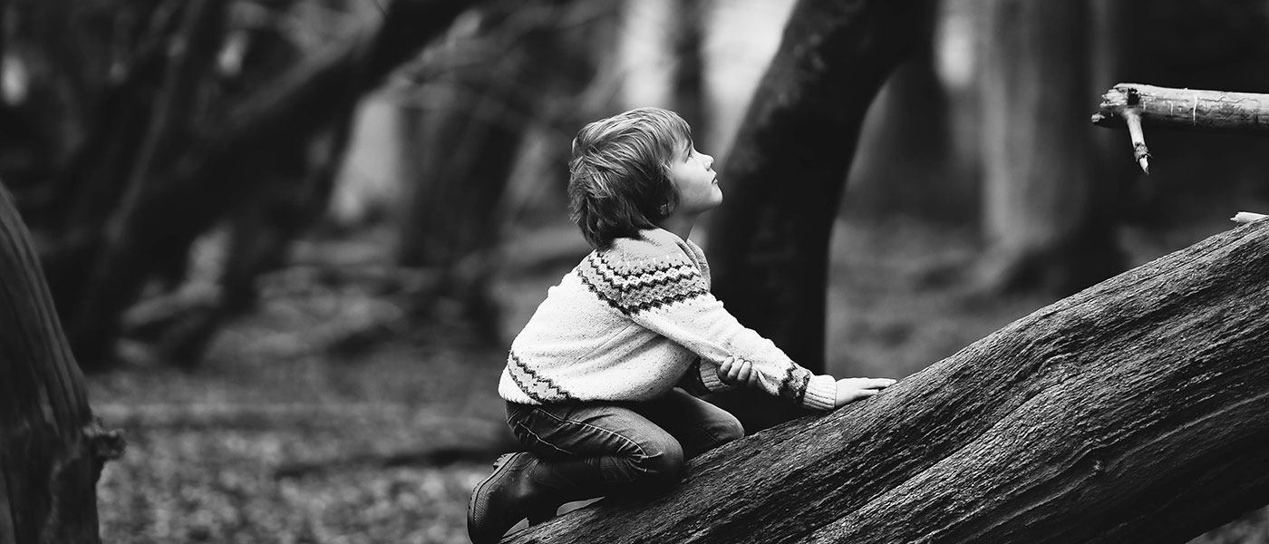 Tools for the parenting journey